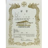 604 Rank Certificate, Taekwondo